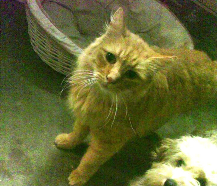 开云官网首页-76人季后赛目标明确,恩比德力争MVP,76人21号恩比德